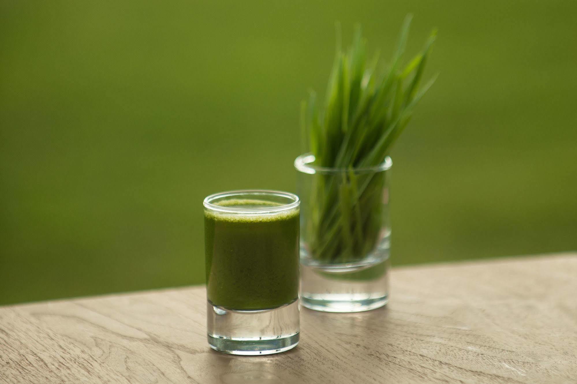 The Lifeco Antalya Well-Being Detox Center And Vegan Hotel Zewnętrze zdjęcie
